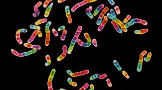 千人基因组计划揭示人类基因多态性