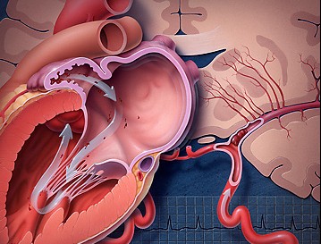 白蛋白水平可预测心衰患者生存率和维持射血分数（Eur J Heart Fail. 2012 Jan;14(1):39-44）