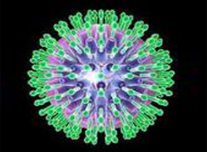 肾移植术后CMV肺炎患者联合使用免疫球蛋白治疗，能明显提高临床疗效（《中华医院感染学杂志》2010年 第4期）