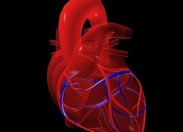血管紧张素受体拮抗剂并不能降低心衰的总死亡率或总发病率（Cochrane Database Syst Rev. 2012 Apr 18;4:CD003040.）