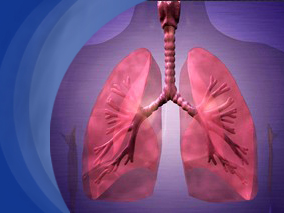 他汀可减少哮喘相关急诊住院率和口服糖皮质激素的使用