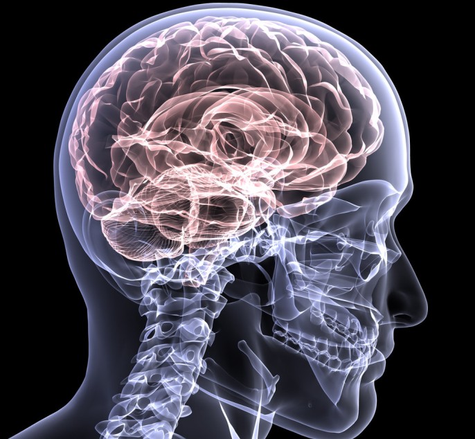 FDA批准新的含钆MRI造影剂