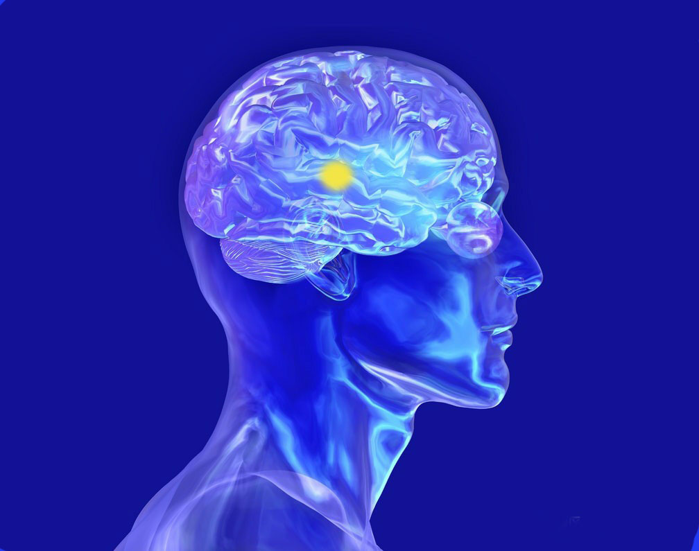 贝伐单抗显著延长脑肿瘤患者的生存期