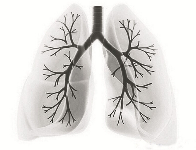 呼气末肺动脉契压易误导肺动脉高压分型