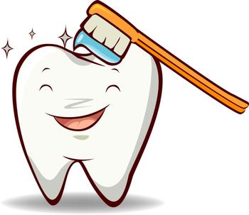 牙齿磨耗与年龄呈线性相关