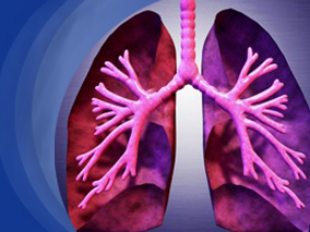 ACEI可以预防肺功能快速下降的吸烟患者进展为COPD