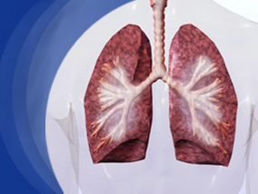 波生坦能显著性改善结节病相关肺高压患者的肺动脉血流动力学