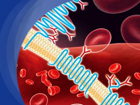 注射抗凝药预防血栓形成之间的比较中磺达肝素显优势