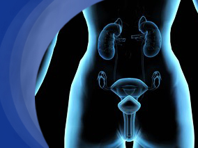 含贝伐珠单抗的疗法用于铂耐药卵巢癌的患者报告结局