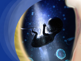 维生素C补充剂对吸烟孕妇新生儿的肺功能有改善作用