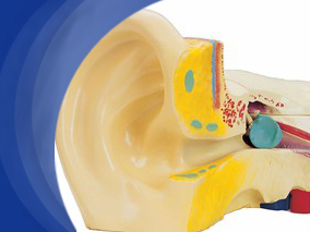 锌补充剂能否预防中耳炎？