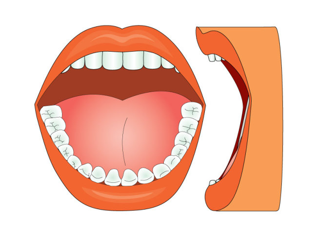 牙周经治患者失牙风险评估或不宜用逻辑回归模型
