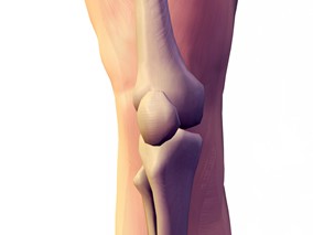 膝关节骨性关节炎药物的疗效对比