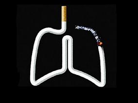 主动吸烟和被动吸烟均显著增加2型糖尿病风险