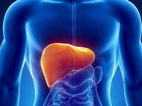 肝功能异常的癌症患者从卡泊芬净转换为阿尼芬净可改善肝功能？