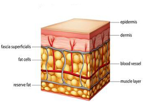 周围嗜酸粒细胞增多的门诊患者皮肤药物反应的特征