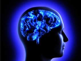 ACNU与钆双胺共同给药的实时磁共振成像用于脑肿瘤监测安全可行