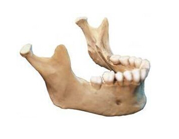下颌骨或可用于低骨密度筛查