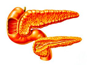 肠促胰岛素或不增加急性胰腺炎发生率
