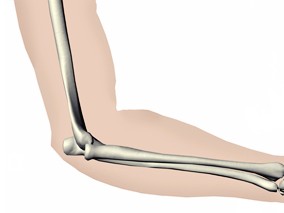 骨性关节炎传统药物治疗以及Glu/CS联用对膝关节结构改变的影响