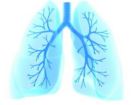 GOLD 慢性阻塞性肺疾病指南2015