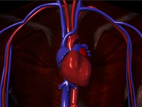 高血压强化治疗和随访延迟与心血管事件或死亡风险之间的相关性