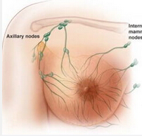 柳叶刀肿瘤：顺铂+吉西他滨或为转移性三阴性乳腺癌一线化疗方案