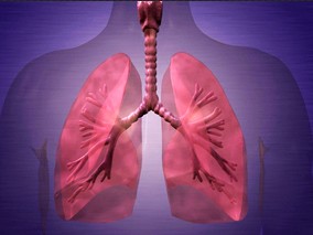 空气质量改善与儿童肺发育改善相关
