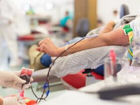 献血后给予铁补充剂有助于恢复