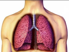 肺部感染情况影响口服左氧氟沙星上皮细胞渗透性