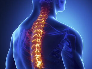 脊髓损伤的治疗及康复进展