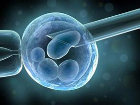 克罗米芬柠檬酸盐轻微卵巢刺激方案是体外受精的实际选择之一
