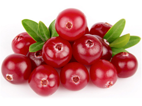 蔓越莓提取物能否降低妇科手术术后尿路感染风险？