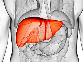 急性肝衰竭：APAP单药vs联合用药