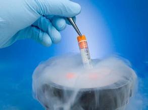 胚胎冷冻联合使用来曲唑 乳腺癌女性也可当妈妈！