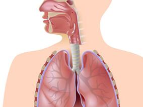 呼吸机集束化治疗措施 哪些有益哪些有害？