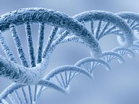 基因多态性对使用紫杉醇和卡铂化疗的NSCLC患者临床结局的影响