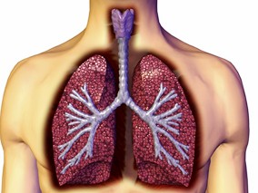 多学科讨论：他汀对COPD患者是否有获益？