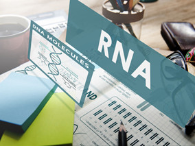 RNA表观遗传学开创者：做研究不能急功近利