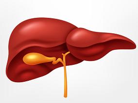 肝脏手术后预防VTE：延长药物血栓预防效果如何？