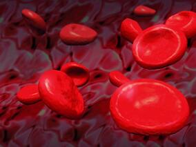 目前预防造血干细胞移植受体GNR相关菌血症耐药性的方法管用吗？