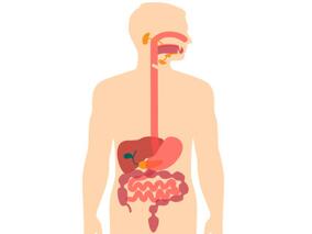 RA三联疗法与依那西普的感染性和胃肠道不良事件有何不同？