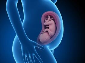 妊娠期使用止痛药儿子隐睾症风险增加？