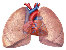 怎样治疗阻塞性睡眠呼吸暂停综合征导致的慢性肺源性心脏病？