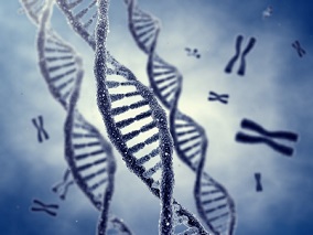 “魔剪”也脱靶 CRISPR可引发数百种基因意外突变