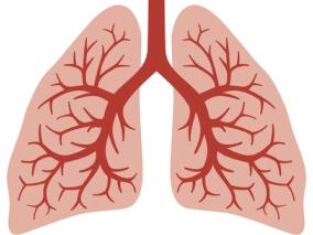 郑劲平教授：肺功能检查的临床应用和科研意义