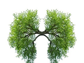 急救药物使用是否可作为COPD患者的症状标志物？