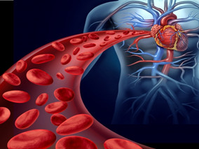 “玻璃心”有救了 新方法能预测心脏病发作