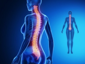 科学家发现修复脊髓损伤的新手术方法