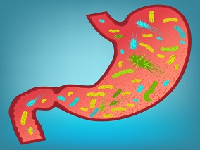 肠道微生物群或影响饮食选择及生殖